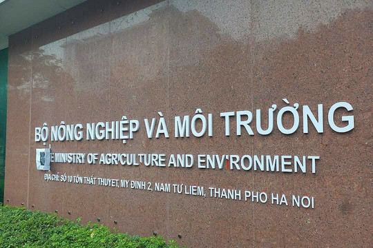 Đề xuất cải cách thủ tục cấp mã số vùng trồng sau hàng loạt sai phạm trong xuất khẩu nông sản