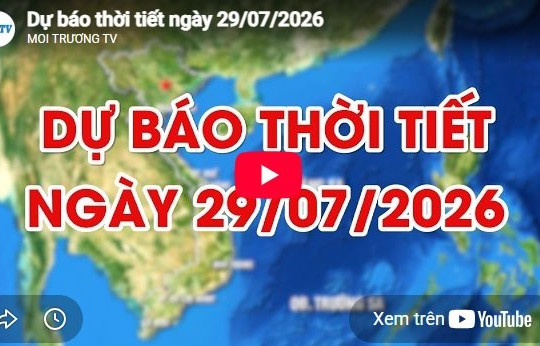Dự báo thời tiết ngày 29/7/2026: Đêm và sáng sớm có mưa