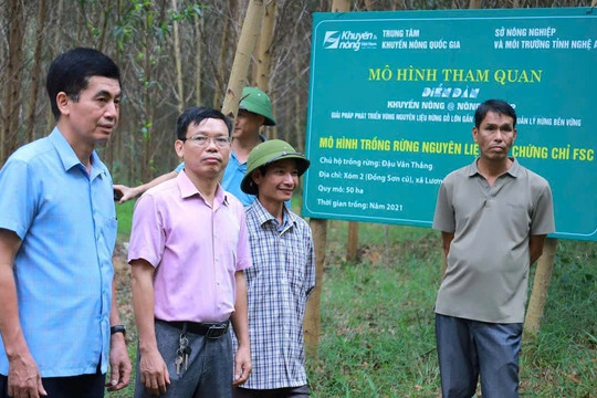Nghệ An mở rộng diện tích rừng đạt chứng chỉ quản lý bền vững