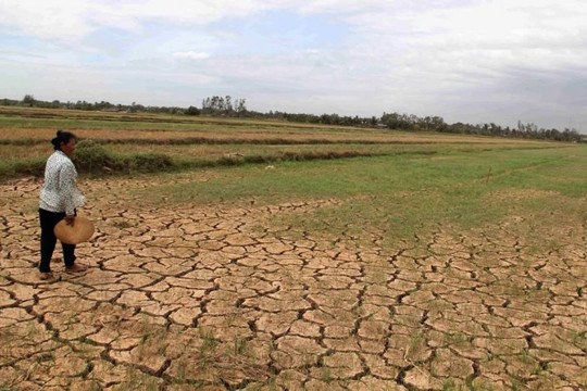 El Nino làm gia tăng nguy cơ xâm nhập mặn ở Đồng bằng sông Cửu Long