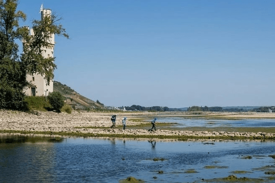 Châu Âu "khát nước": Sông Rhine, Danube xuống mức thấp kỷ lục vì biến đổi khí hậu