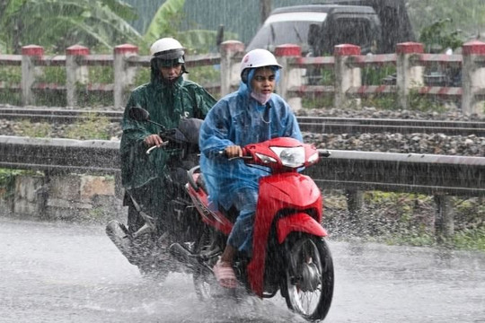 Dự báo thời tiết Hà Nội ngày 5/8/2026: Có mưa vừa, mưa to và dông