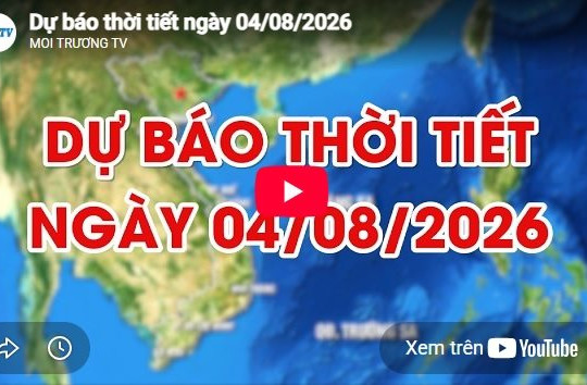 Dự báo thời tiết ngày 4/8/2026: Có mưa rào và rải rác có dông
