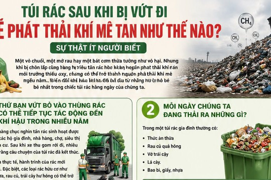 [Infographic] Rác sinh hoạt không biến mất sau khi bị vứt bỏ