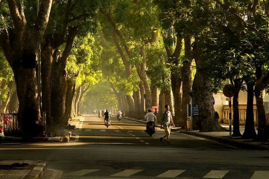 Dự báo thời tiết Hà Nội ngày 08/8/2026: Ngày nắng, đêm có mưa