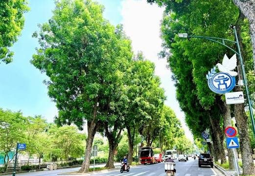 Hà Nội định hình “hạ tầng sinh thái” cho đô thị