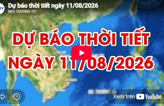Dự báo thời tiết ngày 11/8/2026: Ngày nắng nóng gay gắt