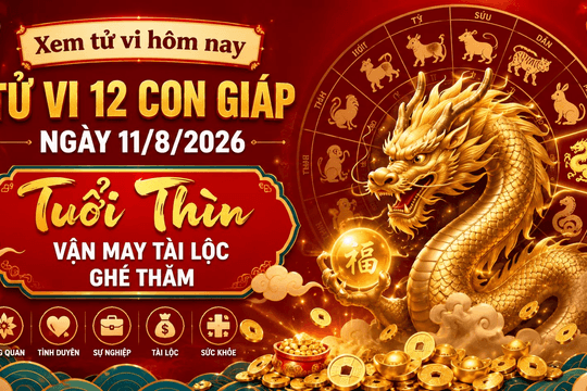 Xem tử vi hôm nay, tử vi 12 con giáp ngày 11/8/2026: Tuổi Thìn vận may tài lộc ghé thăm