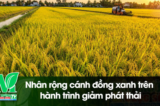 [VIDEO] Nhân rộng cánh đồng xanh trên hành trình giảm phát thải