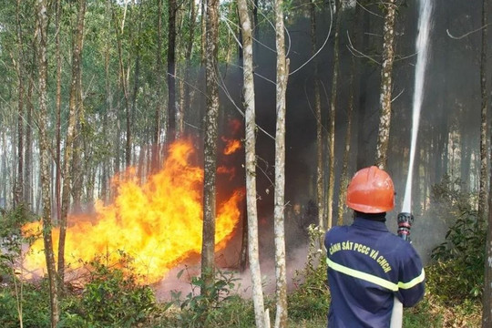 Nắng nóng kéo dài, hơn 700 điểm ở Bắc Bộ và Trung Bộ có nguy cơ cháy rừng cao