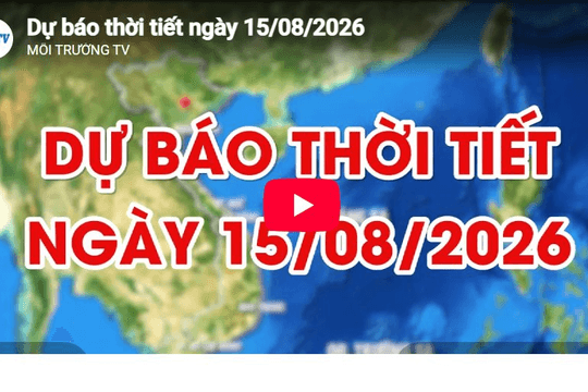 Dự báo thời tiết ngày 15/08/2026: Có mưa rào và dông vài nơi