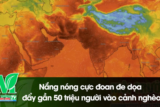 [VIDEO] Nắng nóng cực đoan đe dọa đẩy gần 50 triệu người vào cảnh nghèo