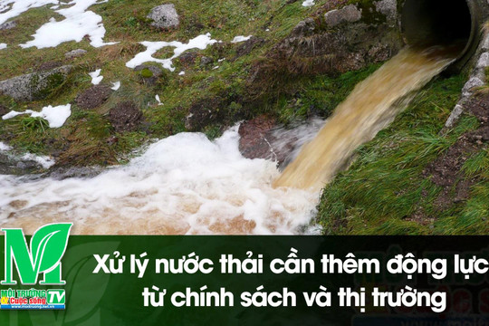 [VIDEO] Xử lý nước thải cần thêm động lực từ chính sách và thị trường
