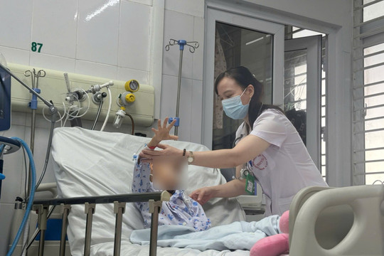 Muỗi Culex gây viêm não Nhật Bản - cảnh báo từ ca bệnh diễn tiến nhanh tại Bệnh viện Bệnh Nhiệt đới Trung ương