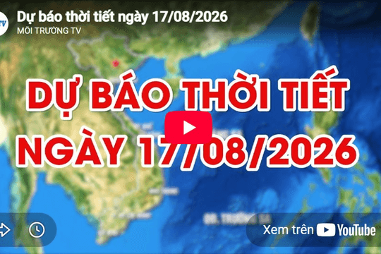 Dự báo thời tiết ngày 17/8/2026: Có mưa vài nơi, gió nhẹ