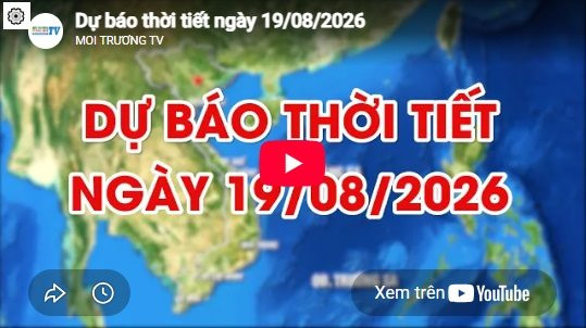 Dự báo thời tiết ngày 19/8/2026: Có mưa vừa, mưa to và dông