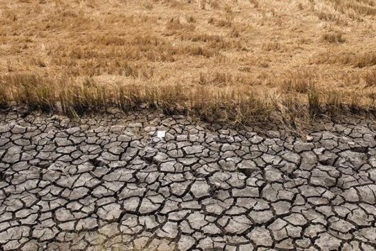 Bộ Nông nghiệp và Môi trường cảnh báo hạn, mặn do El Niño