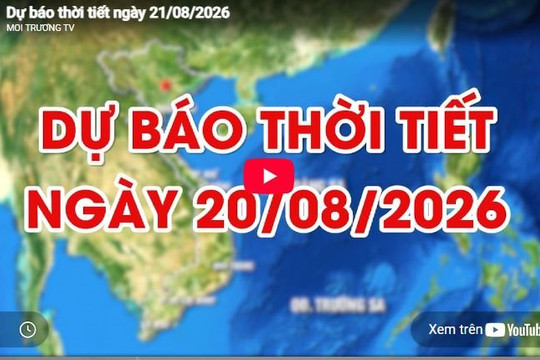 Dự báo thời tiết ngày 20/8/2026: Mưa to và dông, cục bộ có nơi mưa rất to