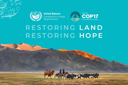 COP17: Phục hồi đất, phục hồi sinh kế và cuộc chiến chống sa mạc hóa