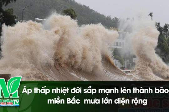 [VIDEO] Áp thấp nhiệt đới sắp mạnh lên thành bão, miền Bắc mưa lớn diện rộng