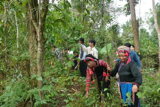 Việt Nam tại UNCCD COP17: Mở rộng nguồn lực tài chính cho phục hồi rừng, đất đai