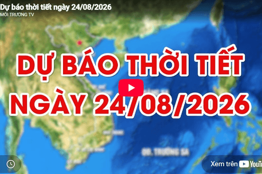 Dự báo thời tiết ngày 24/8/2026: Mưa to và dông, cục bộ có nơi mưa rất to
