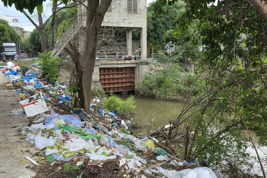 Nghệ An: Rác thải tràn lan tại đường Vĩnh Giang và Ba ra sông Vinh