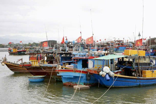 Hà Tĩnh phát động “Tháng cao điểm”, siết chặt chống khai thác IUU