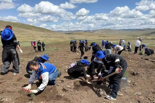 Việt Nam đề xuất ba giải pháp tài chính phục hồi đất tại COP17