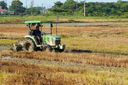 Cần Thơ chủ động ứng phó El Niño, xây dựng kịch bản rủi ro rất cao