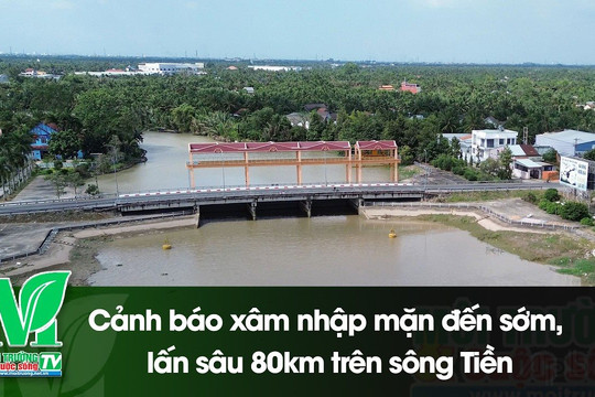 [VIDEO] Cảnh báo xâm nhập mặn đến sớm, lấn sâu 80km trên sông Tiền