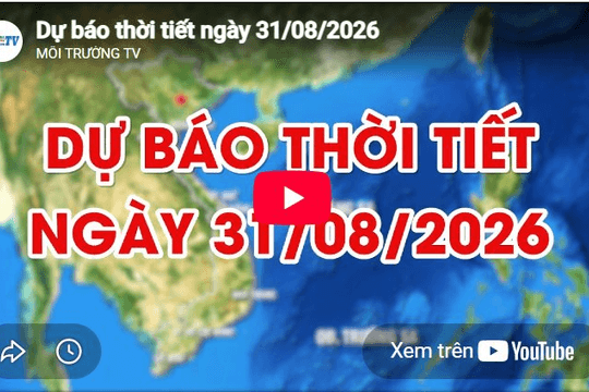 Dự báo thời tiết ngày 31/8/2026: Đêm có mưa rào và dông rải rác