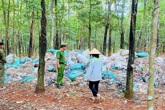 Đồng Nai: Phát hiện gần 8,5 tấn chất thải đổ trái phép trong rừng cao su