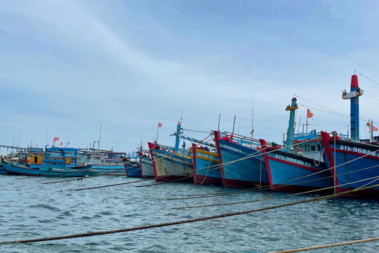 Bão số 5 Saudel hình thành trên Biển Đông, gió giật cấp 10