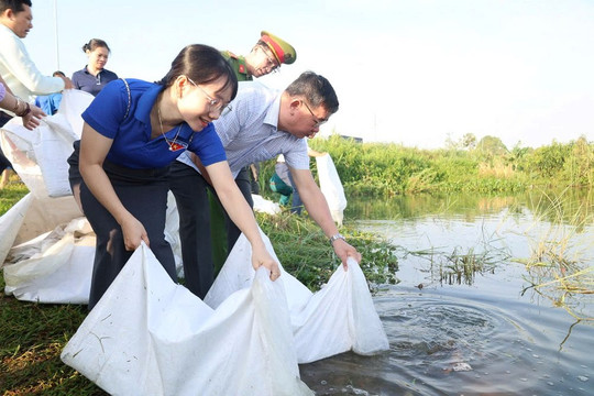 Quảng Ngãi thả cá tái tạo nguồn lợi thủy sản trên sông Trà Khúc