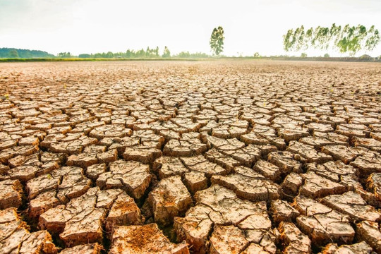 El Nino mạnh nhất 40 năm có thể xuất hiện, nhiều khu vực đối mặt hạn hán