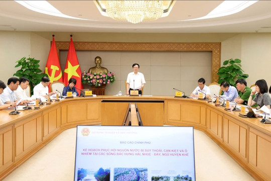 Yêu cầu hoàn thiện dự án phục hồi các sông Bắc Hưng Hải, Nhuệ - Đáy, Ngũ Huyện Khê