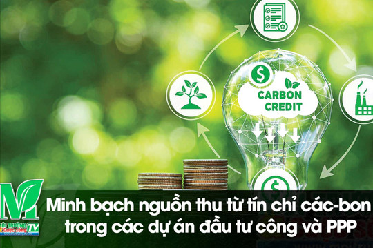 [VIDEO] Minh bạch nguồn thu từ tín chỉ các-bon trong các dự án đầu tư công và PPP