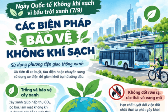 [Infographic] Ngày Quốc tế Không khí sạch vì bầu trời xanh: Biện pháp bảo vệ không khí sạch