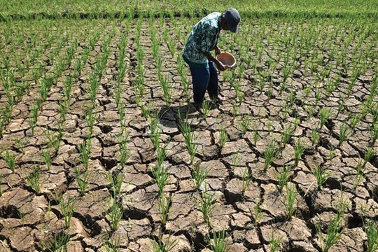 44 nước kém phát triển thống nhất ưu tiên khí hậu trước thềm COP31