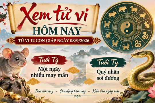 Xem tử vi hôm nay, tử vi 12 con giáp ngày 08/9/2026: Tuổi Tý một ngày nhiều may mắn, Tuổi Tỵ quý nhân soi đường