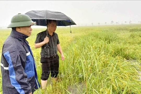 Hà Tĩnh chủ động kích hoạt phương án “bốn tại chỗ” ứng phó thiên tai