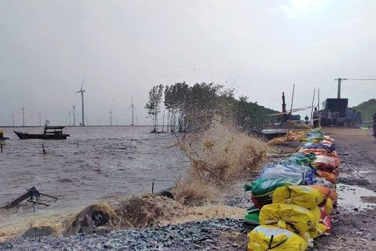 21 tỉnh, thành ven biển chủ động ứng phó thiên tai trong 10 ngày tới
