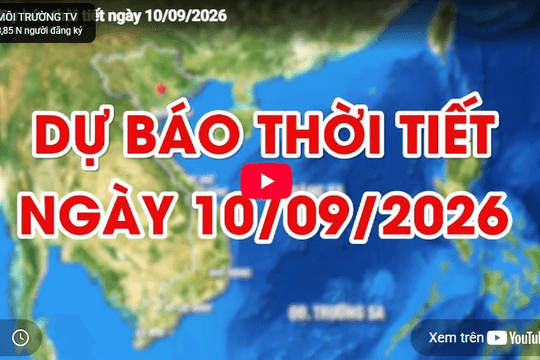 Dự báo thời tiết ngày 10/9/2026: Hà Nội trời chuyển mưa rét