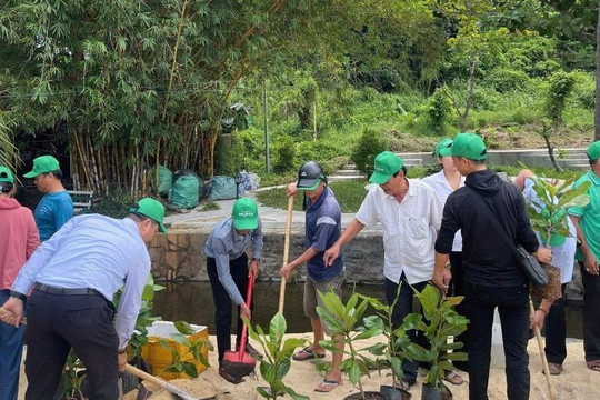 Đà Nẵng: Khởi động chương trình trồng 1 tỷ cây xanh tại Cù Lao Chàm