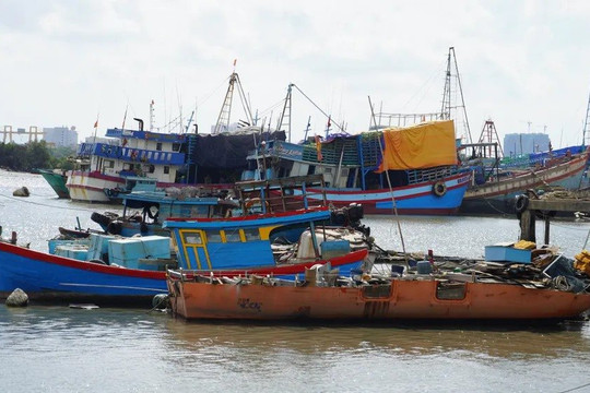 Bộ Xây dựng chủ động ứng phó áp thấp nhiệt đới trên Biển Đông