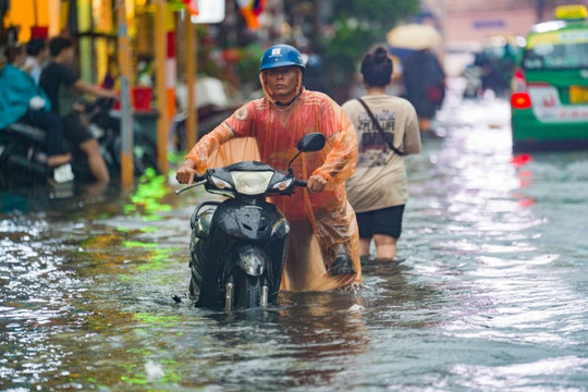 TP Hồ Chí Minh rà soát 159 điểm ngập, tăng năng lực thoát nước đô thị