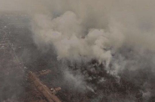 Kalimantan chìm trong khói mù, hơn 202.000ha đất bị thiêu rụi