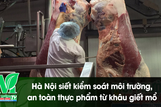 [VIDEO] Hà Nội siết kiểm soát môi trường, an toàn thực phẩm từ khâu giết mổ