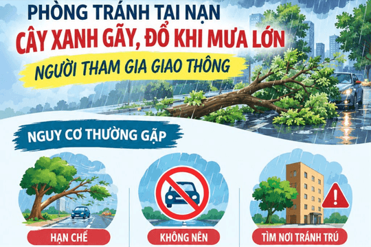 [Infographic] Phòng tránh tai nạn cây xanh gãy, đổ khi mưa lớn